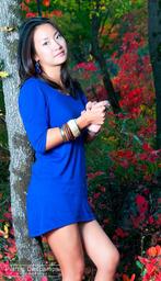 Diana and the Forest